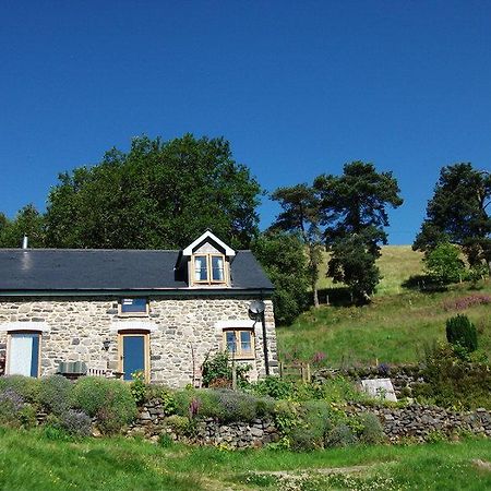 Swallow Barn Llanwrtyd Wells Rom bilde